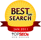 TOP 3 Best Web Design Company (ies) in Mexico - January 2011